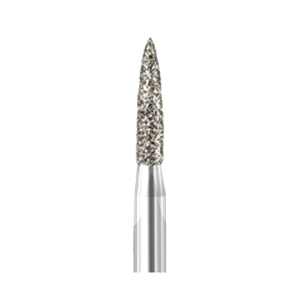 Frais diam pm 862.104.018 busch 2u. consommable d'abrasion, polissage et fraises busch
