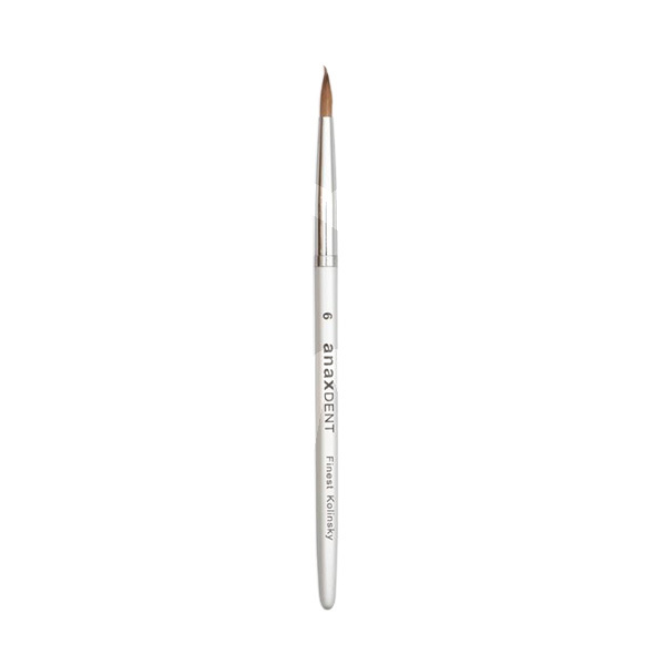 Pinceaux anaxbrush poil de marte nº6 instruments anaxdent