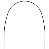 Arc niti ovoïde thermique trueform rectangulaire arcs et fils proclinic expert