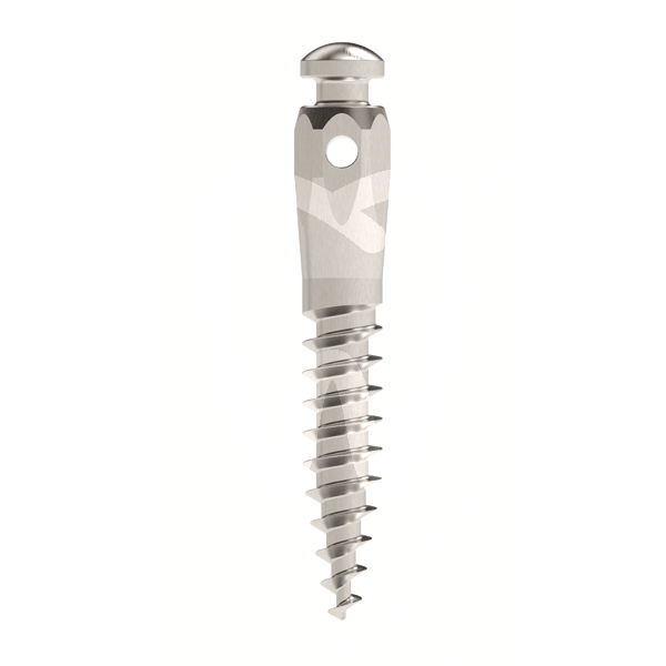 Mini implant auto perforant micro/mini implants leone