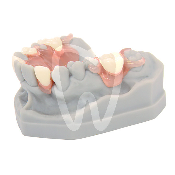 Vivapink 150gr polvere / 110 ml liquido acrilici-resine dentona