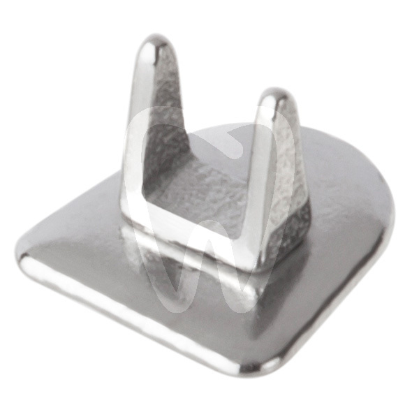 Controllo abitudini intraorale metallico e estetico bestdent