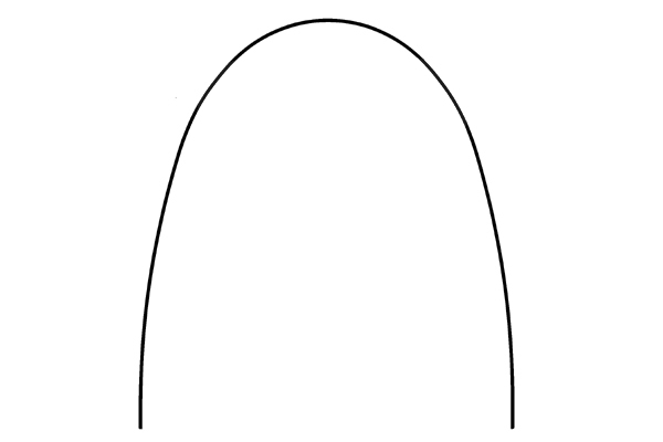 Arco niti super-elastico forma ovoidale europa ii rettangolare archi e fili proclinic expert