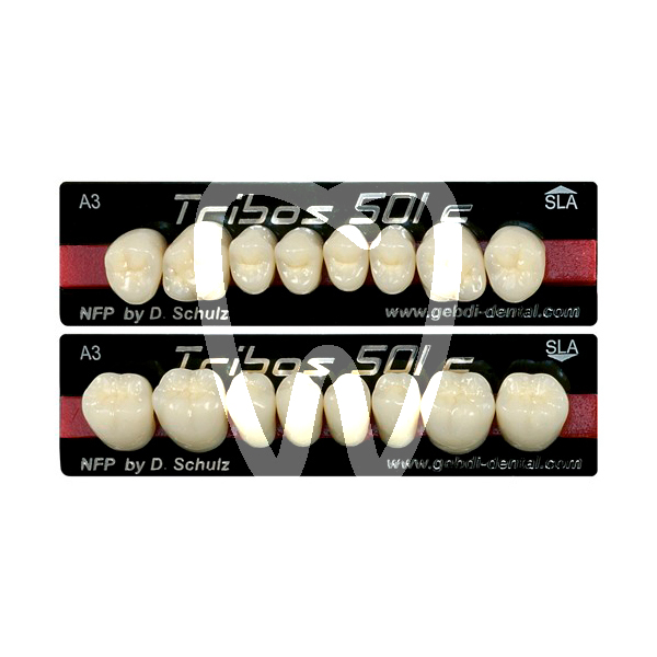 Denti tribos 501 molari composito denti acrilici gebdi