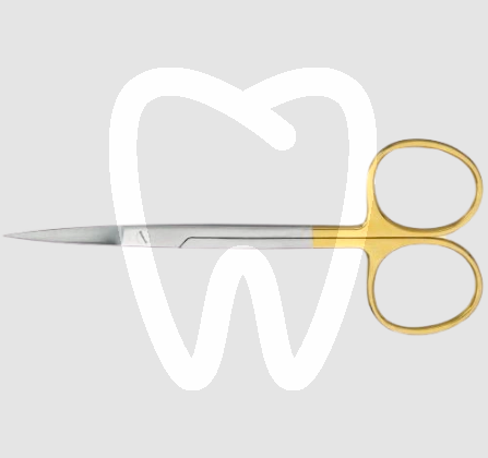 Nożyczki do dziąseł proste 800wc/12 narzędzia stomatologiczne carl martin