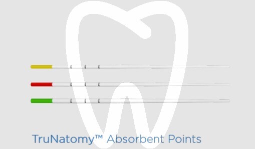 Sączki papierowe trunatomy 180 sztuk endodoncja dentsply maillefer